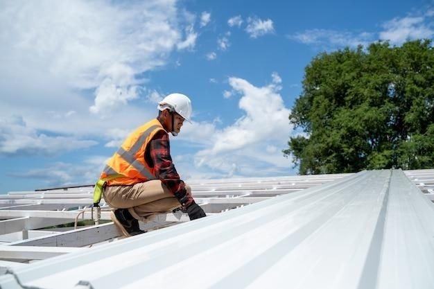 Things to Look for When Hiring a Roofer for Work